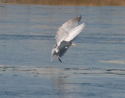 IMG_9272.jpg