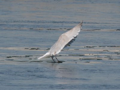 IMG_9274.jpg
