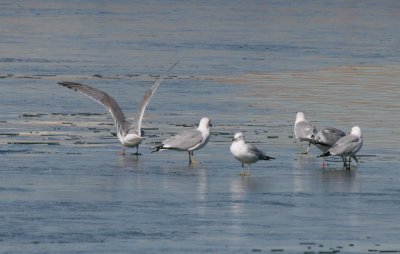 IMG_9276.jpg