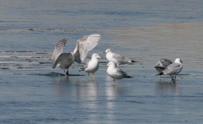 IMG_9278.jpg