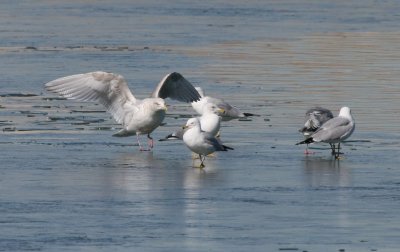 IMG_9281.jpg