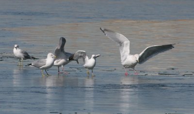 IMG_9285.jpg