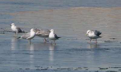 IMG_9286.jpg