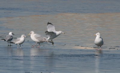 IMG_9294.jpg