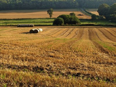 rule of thirds. Late afternoon