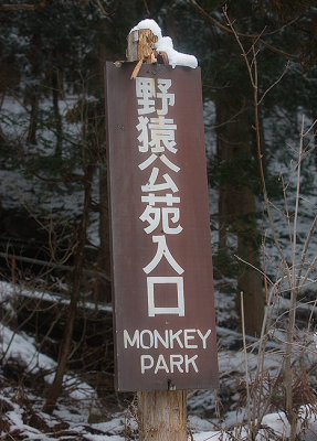 Entrance to Monkey park