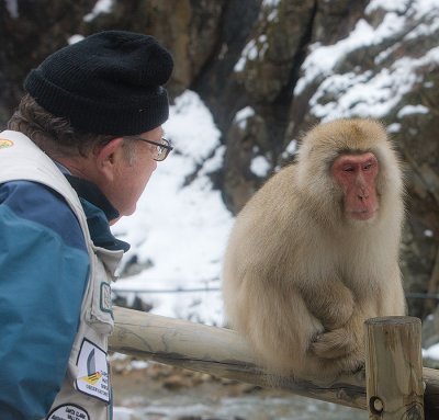 Snow Monkey and photographer