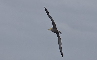 g1/03/534603/3/115259732.SuPMXcpV.jpg