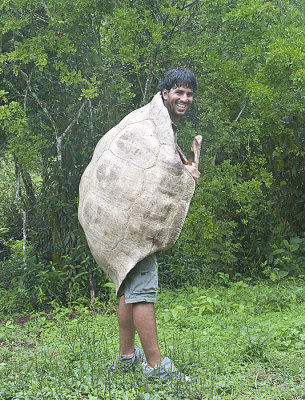 Galapagos Tortoises shell with Juan our guide inside