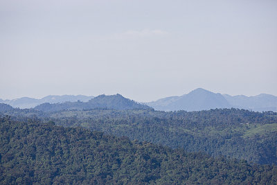 Hills of Northwest Ecuador