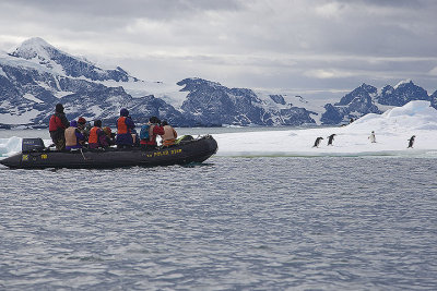 Zodiac touring to penguins on ice
