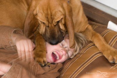 Bloodhound Kisses