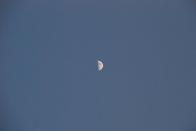 DSC_0008.JPG