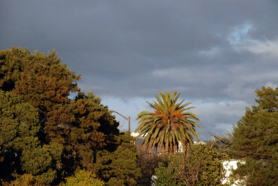 DSC_0015.jpg