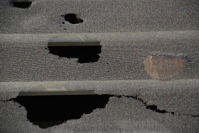 DSC_0021.jpg