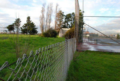 DSC_0029.jpg
