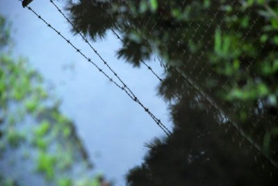 DSC_0022.jpg