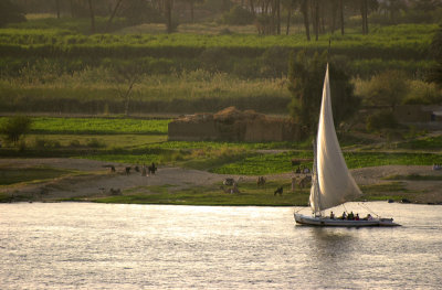 Louxor, felouque sur le Nil