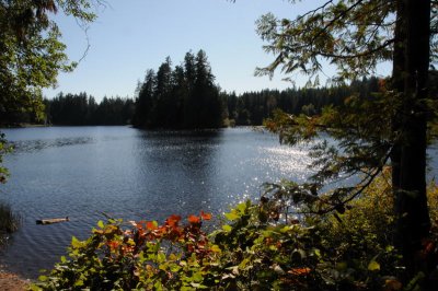 DSC_0449.jpg