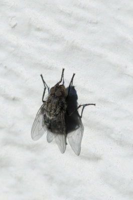 DSC_1174.jpg