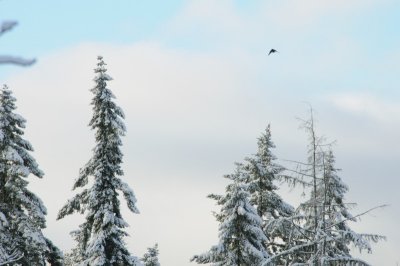 DSC_2516.jpg