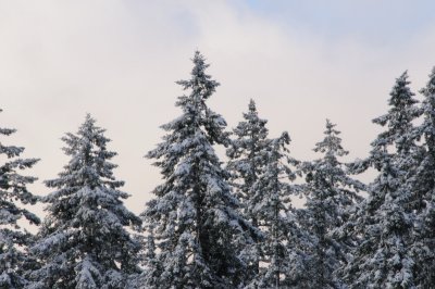 27-dec-08