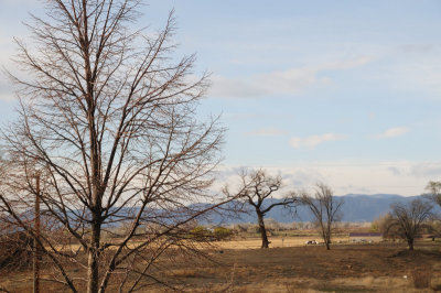 DSC_4723.jpg