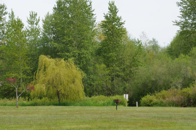 DSC_5898.JPG