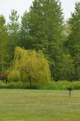 DSC_5915.JPG