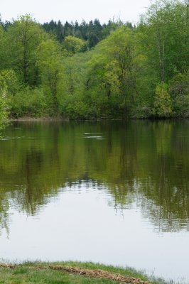 DSC_5924.JPG