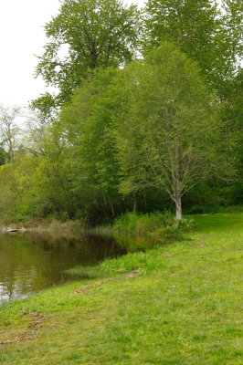 DSC_5928.JPG