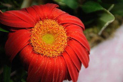 DSC_5951_054.JPG