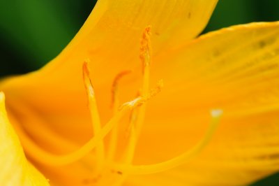 DSC_6714.JPG