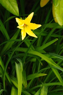 DSC_6718.JPG