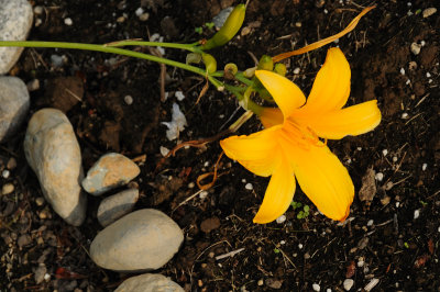DSC_7328.JPG
