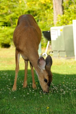 DSC_7536.JPG