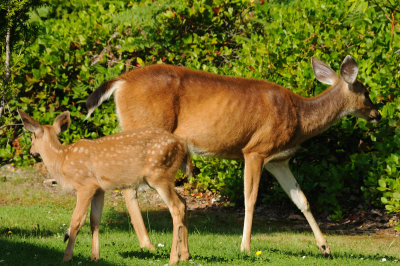 DSC_7545.JPG