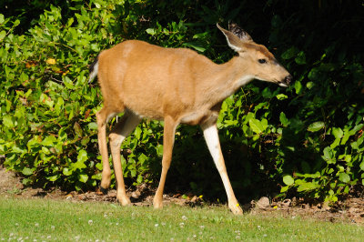 DSC_7547.JPG