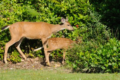DSC_7552.JPG