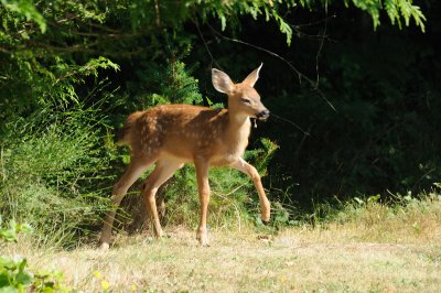 DSC_7558.JPG