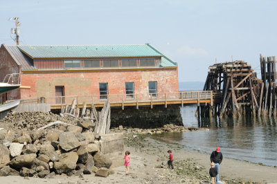 DSC_7964.JPG