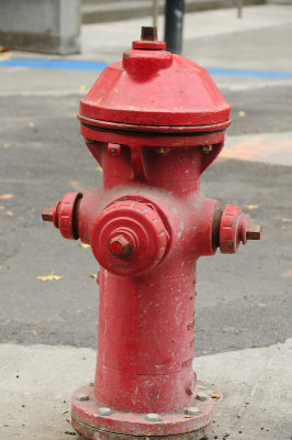 DSC_8271.JPG