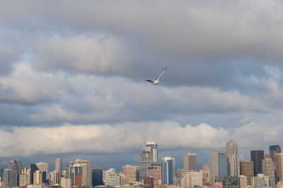 DSC_8343.JPG