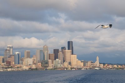DSC_8344.JPG