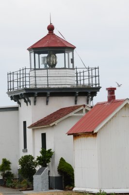 DSC_8400.JPG