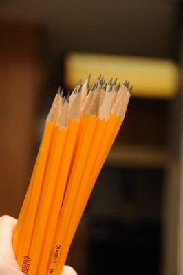 DSC_8638.JPG
