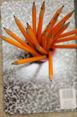 DSC_8650.JPG