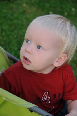 DSC_8760.JPG