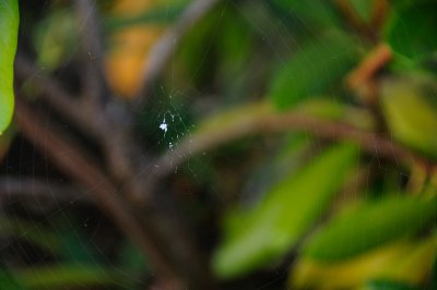 DSC_8831.JPG
