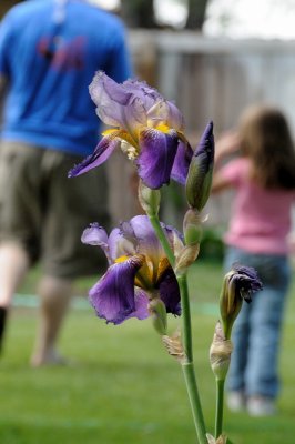 DSC_8010.JPG